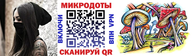 Псилоцибиновые грибы Psilocybine cubensis omg сайт Кукмор