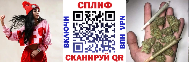 Марихуана сатива  Кукмор 